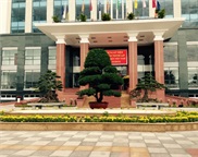 Any district or commune people's committee